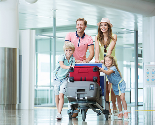 Immegration Consultant