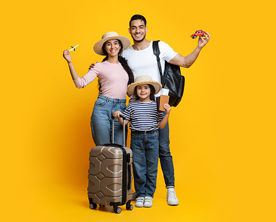 Immegration Consulant